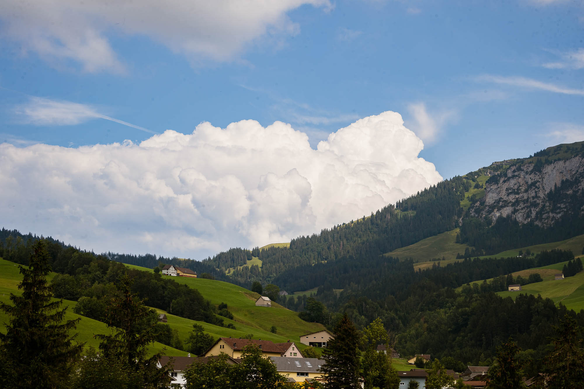 Export x3 1DX21664 Hochzeit 2019 Jenny & Daniel